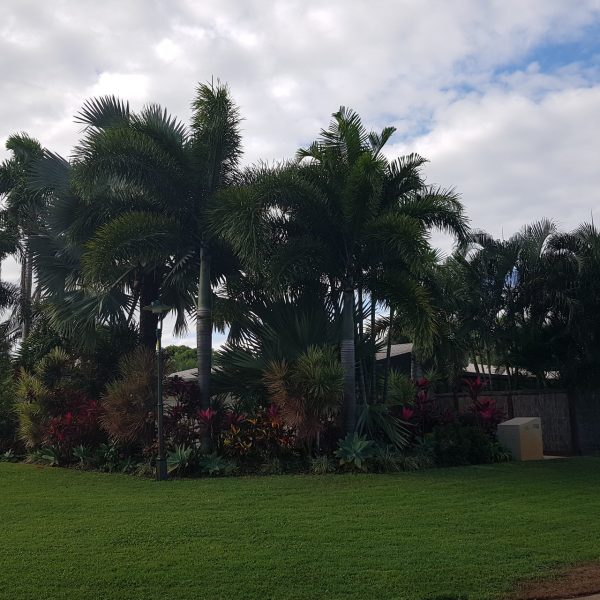 55 Pacific Drive, Blacks Beach, QLD 4740 AUS