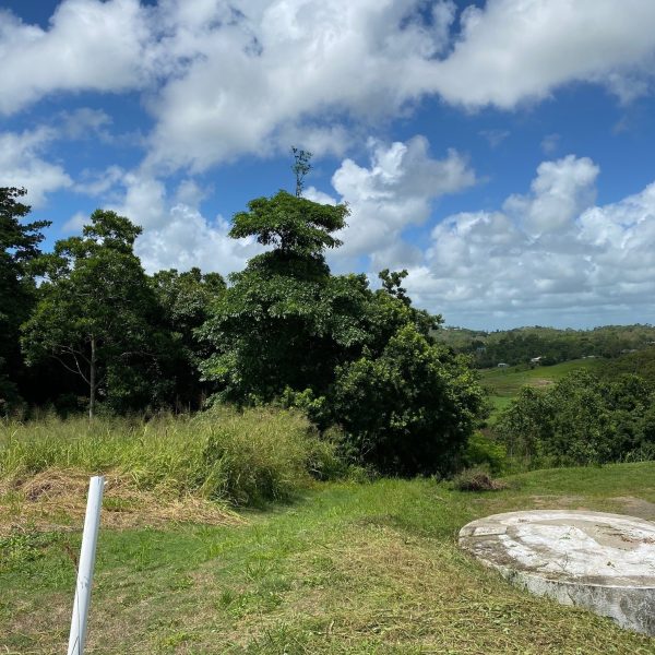 28 Summerhill Rise, Habana, QLD 4740 AUS
