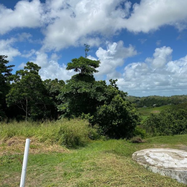 28 Summerhill Rise, Habana, QLD 4740 AUS