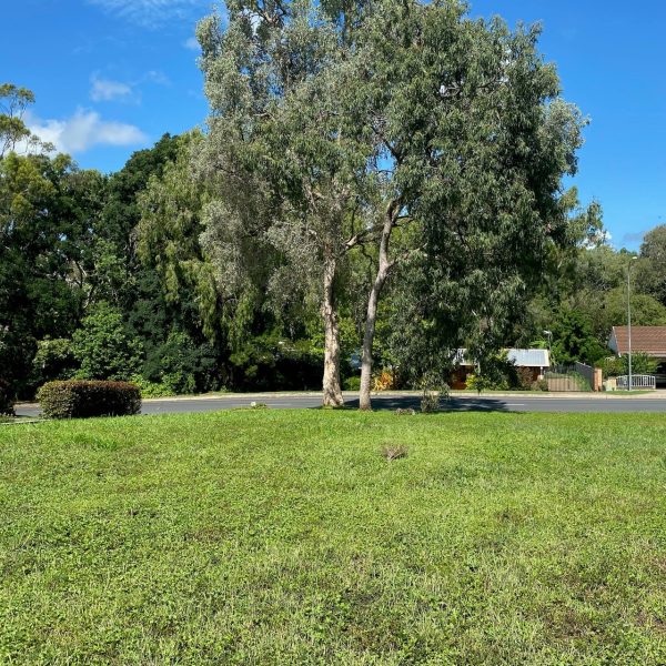 16 Annie Wood Avenue, Mount Pleasant, QLD 4740 AUS