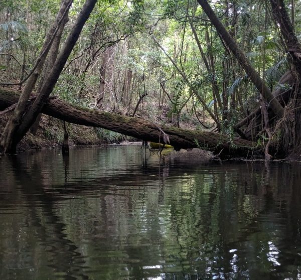 3331 Mirani-Mount Road, Mount Ossa, QLD 4741 AUS